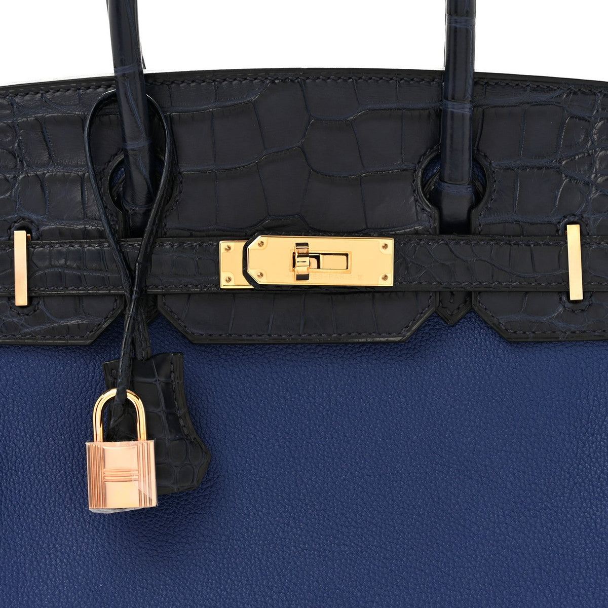 Taurillon Novillo Matte Alligator Birkin Handbag