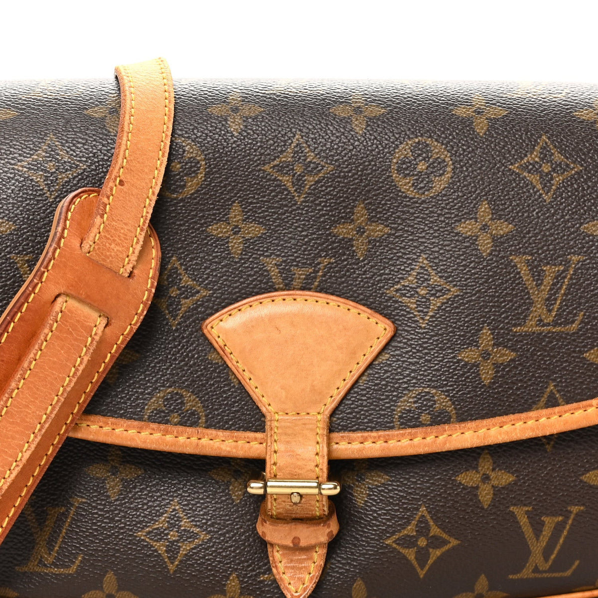 Monogram Sologne Handbag