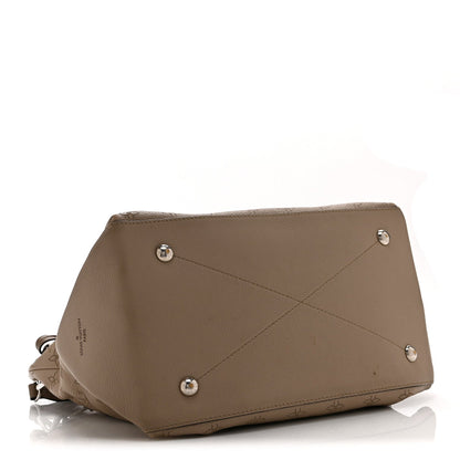 Hobo Bag