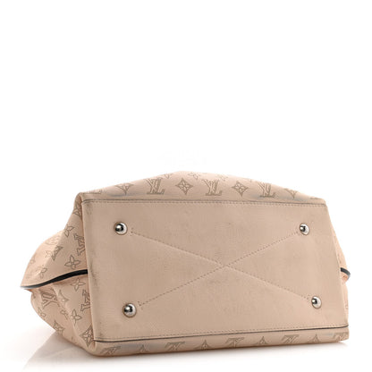 Hobo Bag