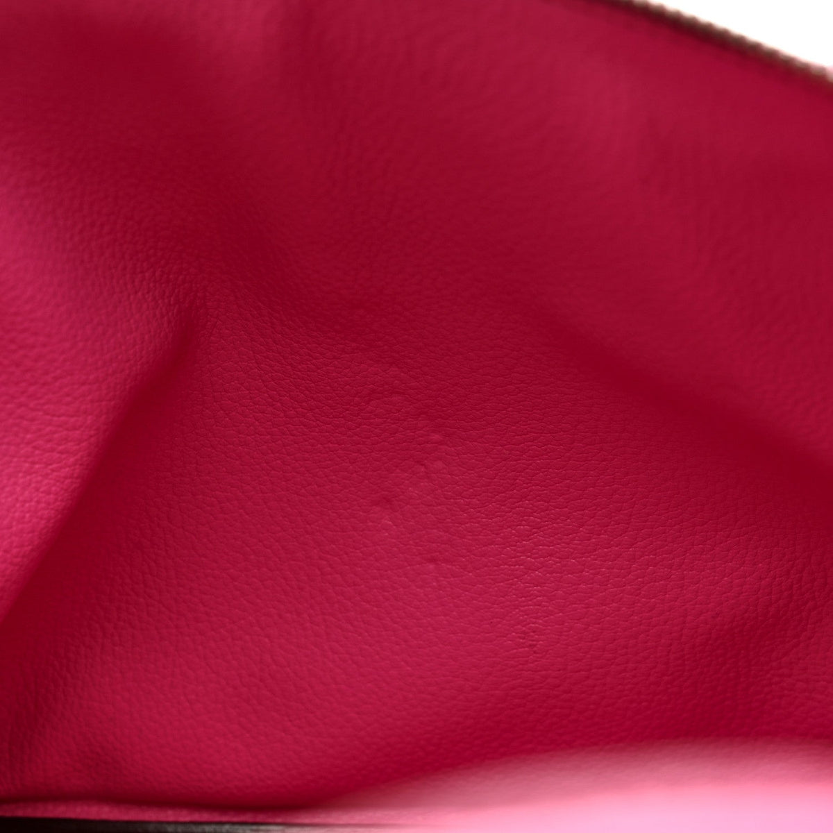 Chevre De Coromandel Bolide 1923 31 Fuch Handbag