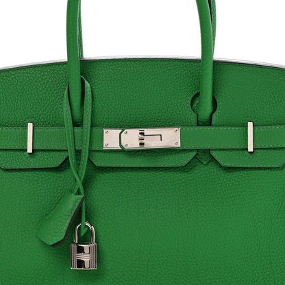 Taurillon Clemence Birkin 30 Menthe Handbag