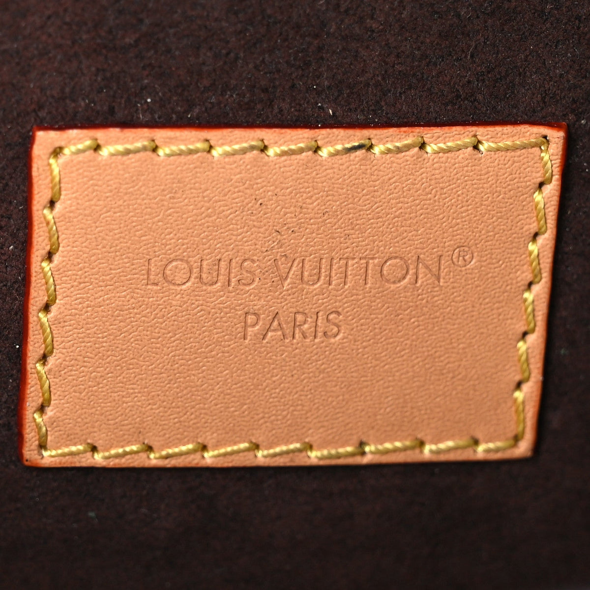 Monogram Pochette Camille Handbag