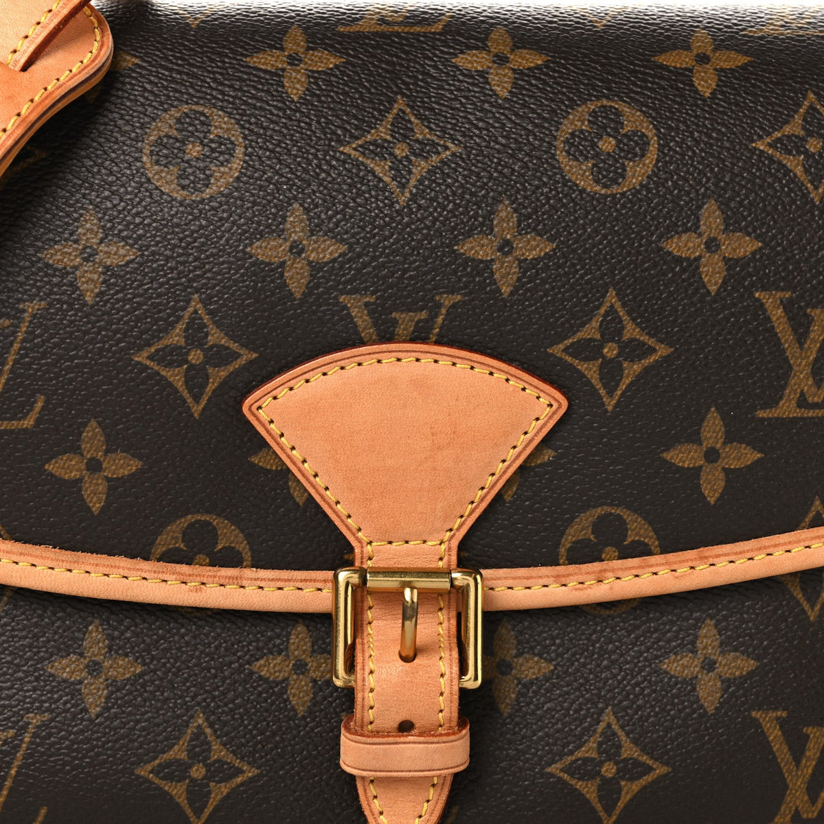 Monogram Sologne Handbag