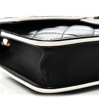 Mini Quilted Lambskin Flap Shoulder Bag - Black