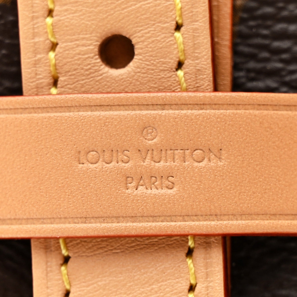 Monogram Carryall Mm Handbag