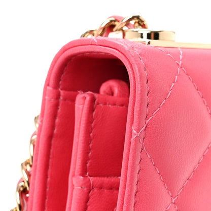 Quilted Lambskin Wallet Bag - Pink